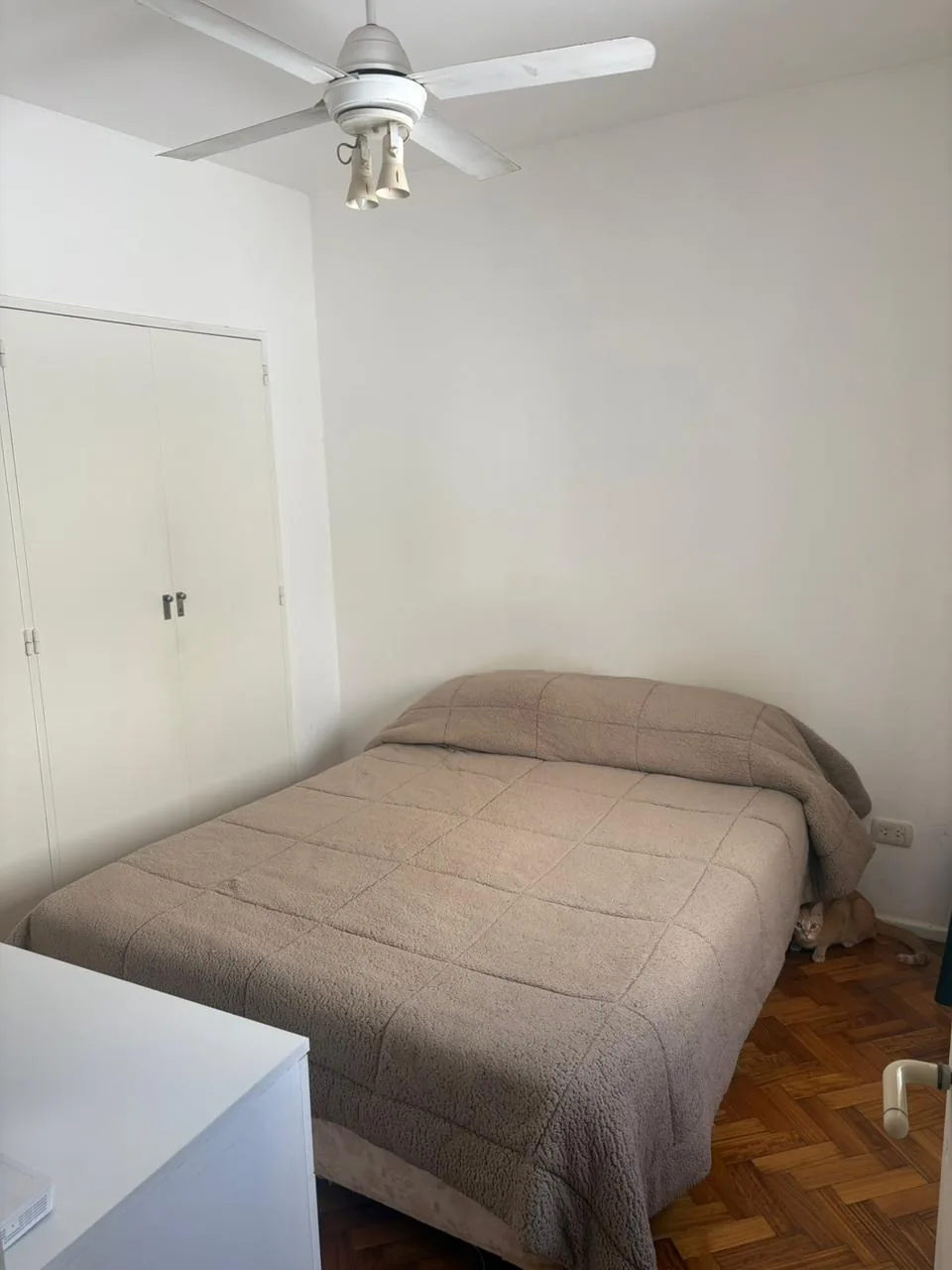 Imagen 6