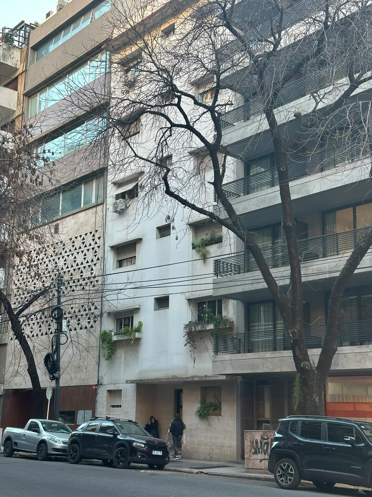 Imagen 2